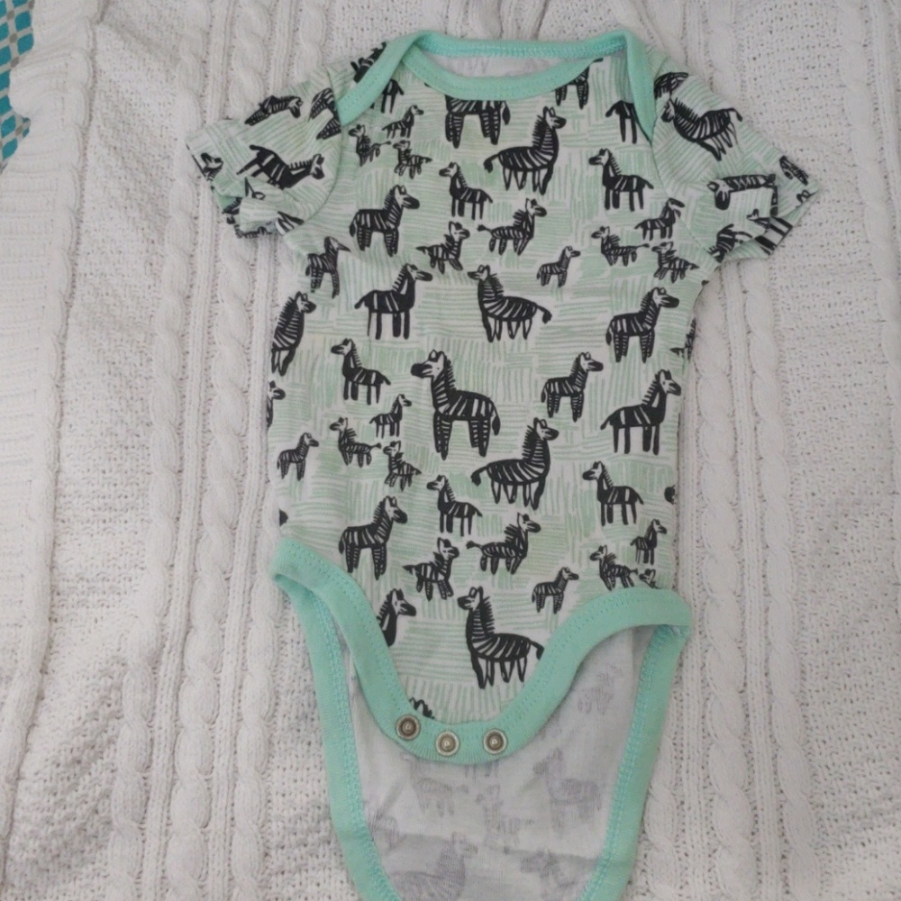 Baby Onesie